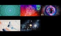 Thumbnail of Total Knowing Truth Frequencies universally