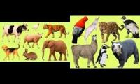 Thumbnail of Smart Kids: Original Animals Vs Peruvian Animals