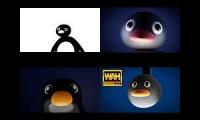 NOOT NOOT x10000000000000000000