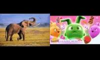 Thumbnail of Elephant Sound Effect Vs Sunny Bunnies Spin For Candy Full Episode Who Will Win Of Videos Range In