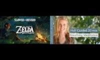Thumbnail of Sömn Meditation Zelda Christian
