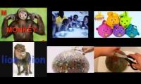 Thumbnail of Alphabet Song In Kelbe Aaron In Elmos World Birthdays Footage In Alphabet In Moment In Alphabet In