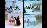 Pingu Episodes at Once Quadparison