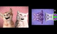Thumbnail of Numa Cat In G Major 16