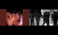 Thumbnail of Bats Dancing to the Cures One Hundred Years