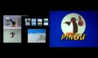 Up to faster 69 to pingu