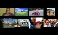 Thumbnail of 8 Annoying Geese EightParison