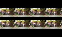 Thumbnail of Wedding in Javanese Indonesia