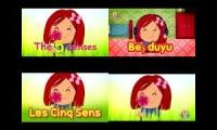 The 5 Senses Toyor Baby language