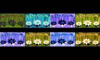 Flowers Kelly Effects Eightparsion