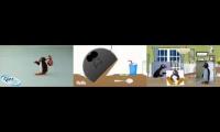 3 pingus runs away the house