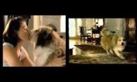 Thumbnail of Dogkisssing everyone in the world
