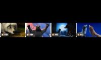 Thumbnail of Alpha And Omega All Clips Compilation Part 2
