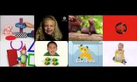 8 Baby Einstein Reversed Videos At The Same Time