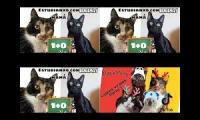 Thumbnail of The Scream Contents Quadparison to Blackmisy