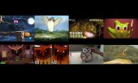 Thumbnail of the untited owl video