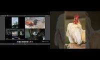 Thumbnail of Up to faster 20 parison to Hen & Rooster