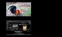 Thumbnail of Up to faster 21 parison to Hen & Rooster