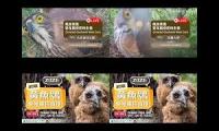 Thumbnail of 1111111111111111111111