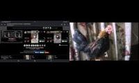 Thumbnail of Up to faster 42 parison to Hen & Rooster