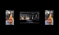 Thumbnail of Up to faster 47 Parison to Hen & Rooster