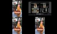 Thumbnail of Up To Faster 61 Parison To Hen & Rooster