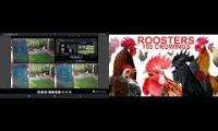 Thumbnail of Up To Faster 69 Parison To Hen & Rooster