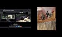 Thumbnail of Up To Faster 71 Parison to Hen & Rooster