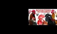 Thumbnail of Up To Faster 85 Parison To Hen & Rooster