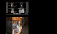 Thumbnail of Up To Faster 28 Parison To Hen & Rooster