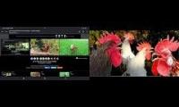 Thumbnail of Up To Faster 90 Parison To Hen & Rooster