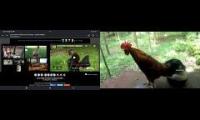 Thumbnail of Up To Faster 98 Parison To Hen & Rooster