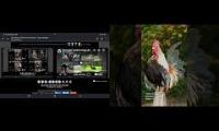 Thumbnail of Up To Faster 66 Parison To Hen & Rooster
