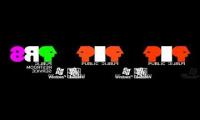Thumbnail of not prs logo history fake rounds 1-3