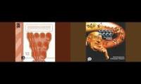 Thumbnail of Comical logos comparison