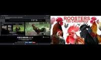 Thumbnail of Up To Faster 99 Parison To Hen & Rooster