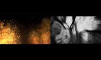 Thumbnail of fireflower-nilsfrahm