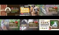 Thumbnail of 2026-05-27台灣鳥類老鷹巢位直播 Crested Goshawk Nest Cam, Taipei, Taiwan　カンムリオオタカの子育て生中継