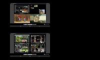 Thumbnail of Hen & Rooster All On One 26 (2)