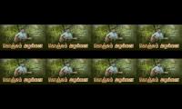 Thumbnail of ithu enaku viwes venum viwes kudu bro