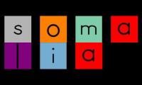 Thumbnail of Have Fun Teaching Word Somalia
