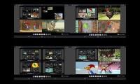 Thumbnail of Hen & Rooster All On One 139 (FINAL)