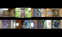 Thumbnail of Amazingearthanimalslivestream