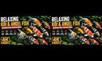 Thumbnail of Peaceful Aquarium Live 
