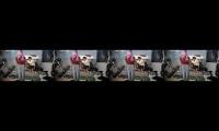 Thumbnail of Cruz why do you have a mask? Cruz why do you have a gas mask? Cruz?! Cruz?!! (4 times)