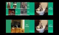 Thumbnail of up to faster 10 to Cat & Dog