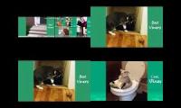 Thumbnail of up to faster 14 to Cat & Dog
