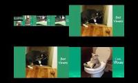 Thumbnail of up to faster 19 to Cat & Dog