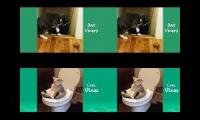 Thumbnail of up to faster 4 parison to Cat & Dog