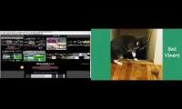 Thumbnail of up to faster 284 parison VS Cat & Dog Vines